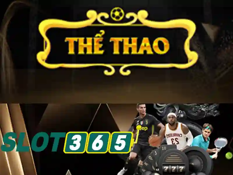 An toàn và hỗ trợ người chơi