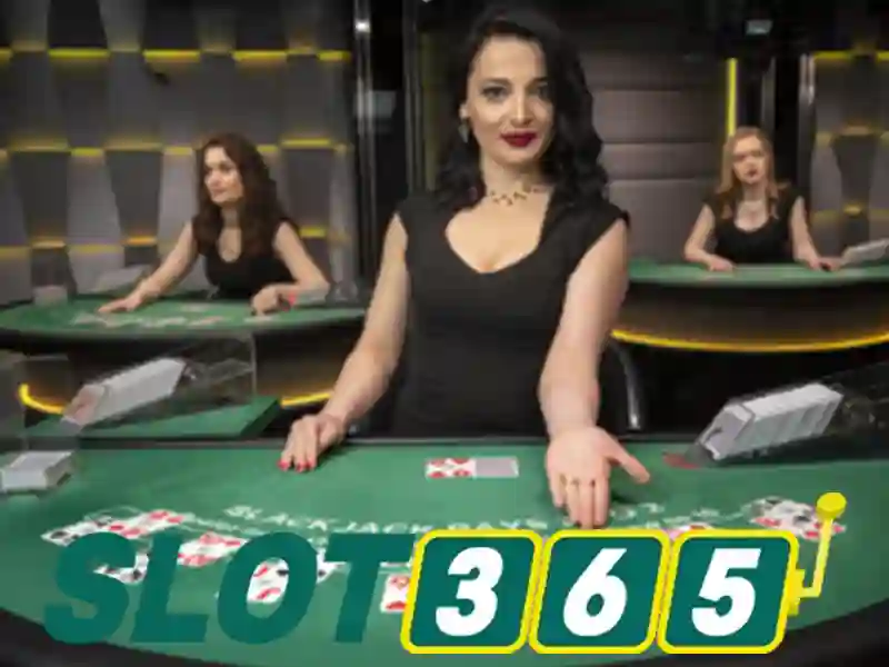 Slot365: Khám phá nền tảng casino trực tuyến