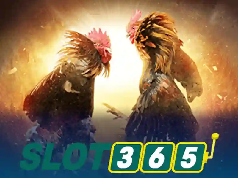 Slot365: Nền tảng chơi slot trực tuyến